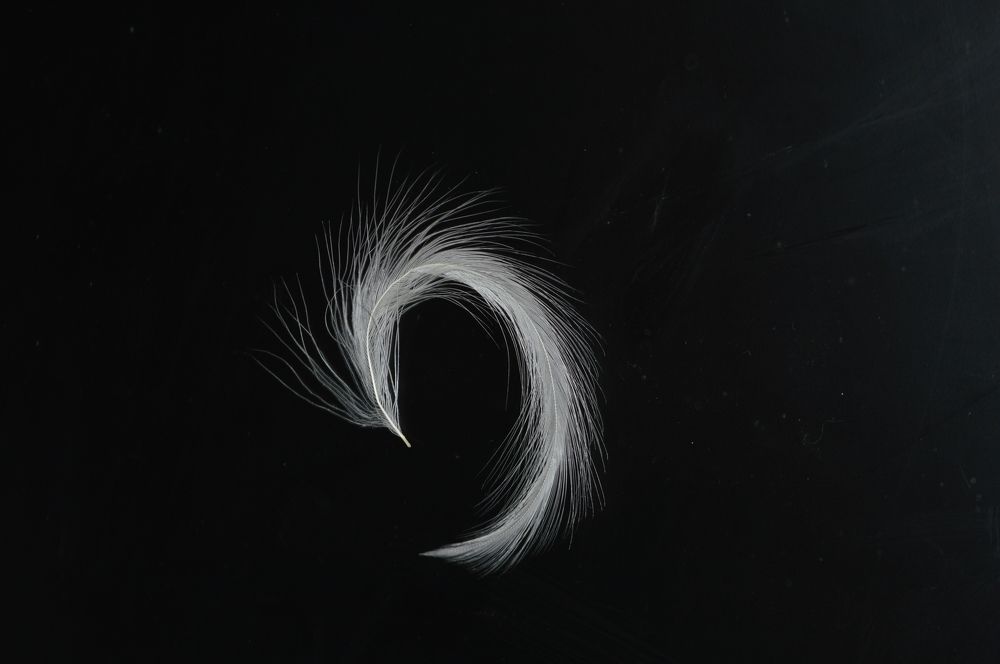 Фотография автора Клавдия Васильева