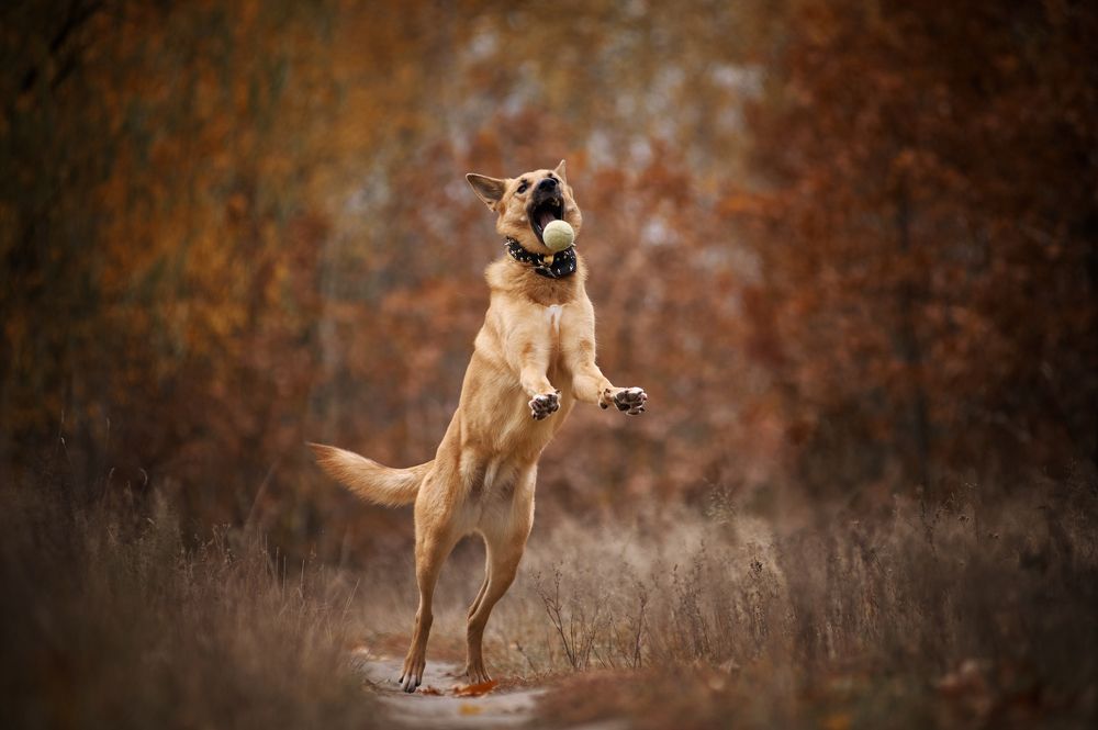Фотография автора Дарина Матасова