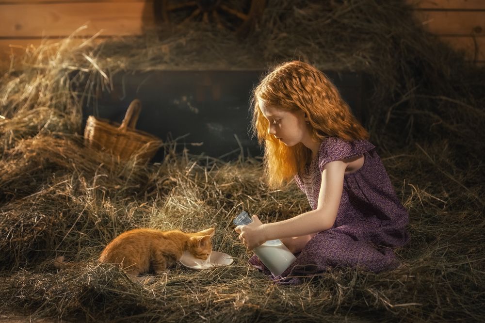 Photograph by Ирина Платонова