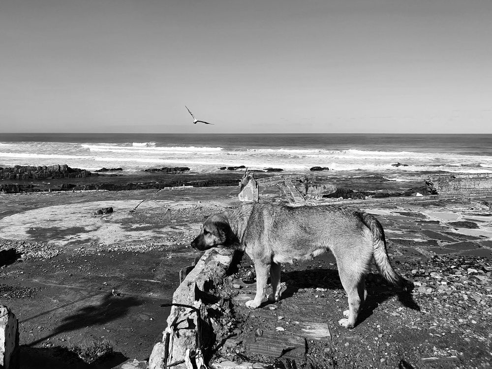 Photograph by Chraibi Hicham