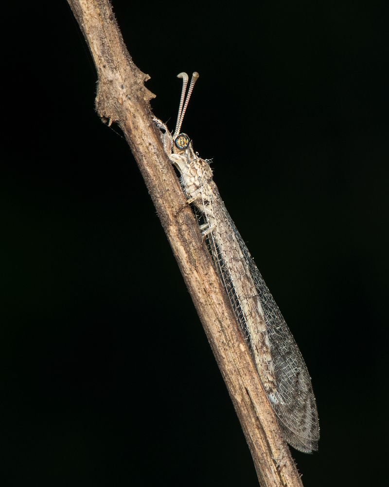 Photograph by Karthikeyan P