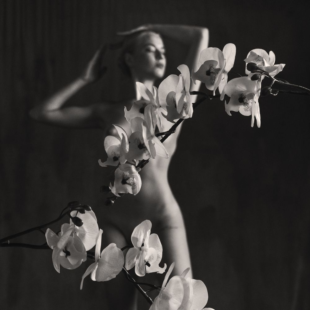 Photograph by Дмитрий Липин