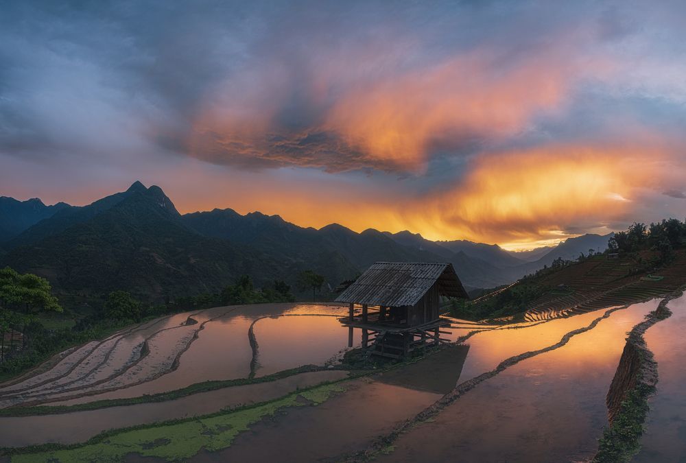 Photograph by Trieu Hung