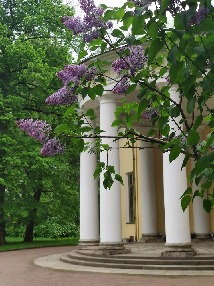 Photograph by Ирина Иванова