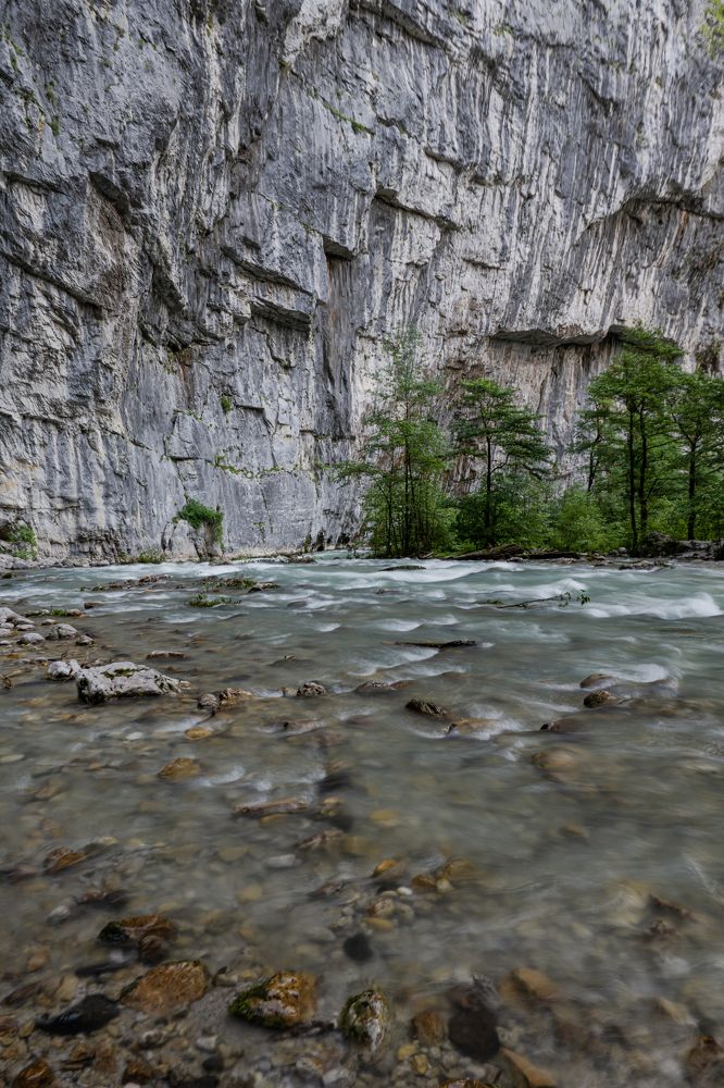 Фотография автора Галина Башканкова