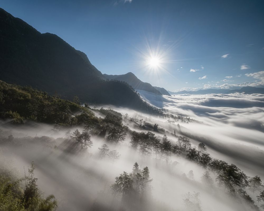 Photograph by Trieu Hung