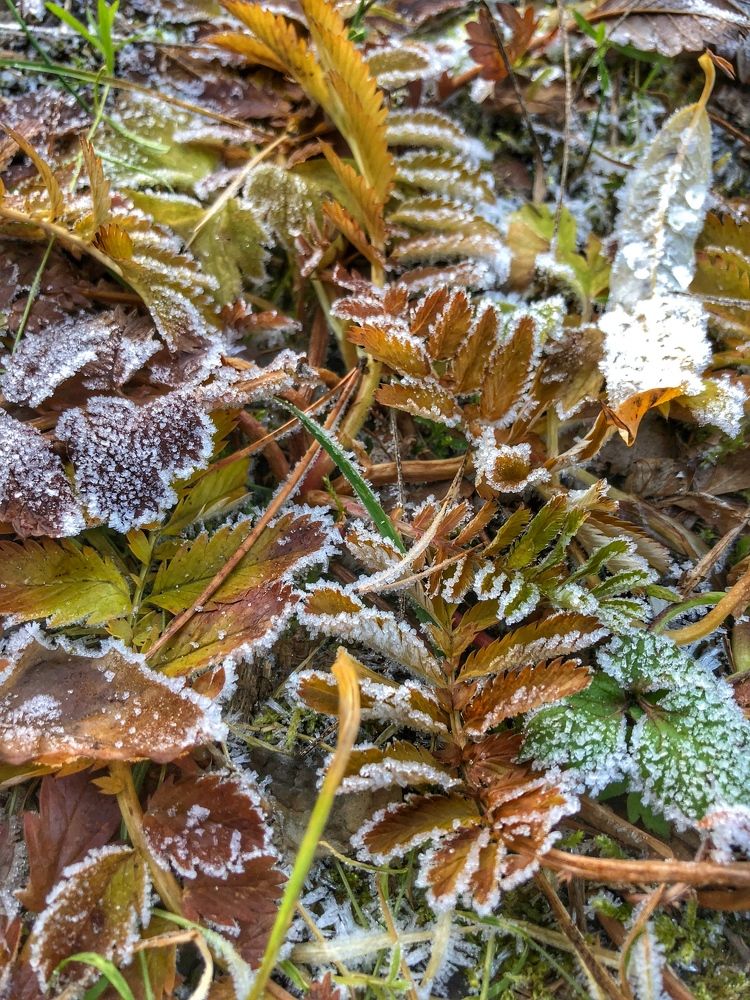 Photograph by Светлана Дмитриева