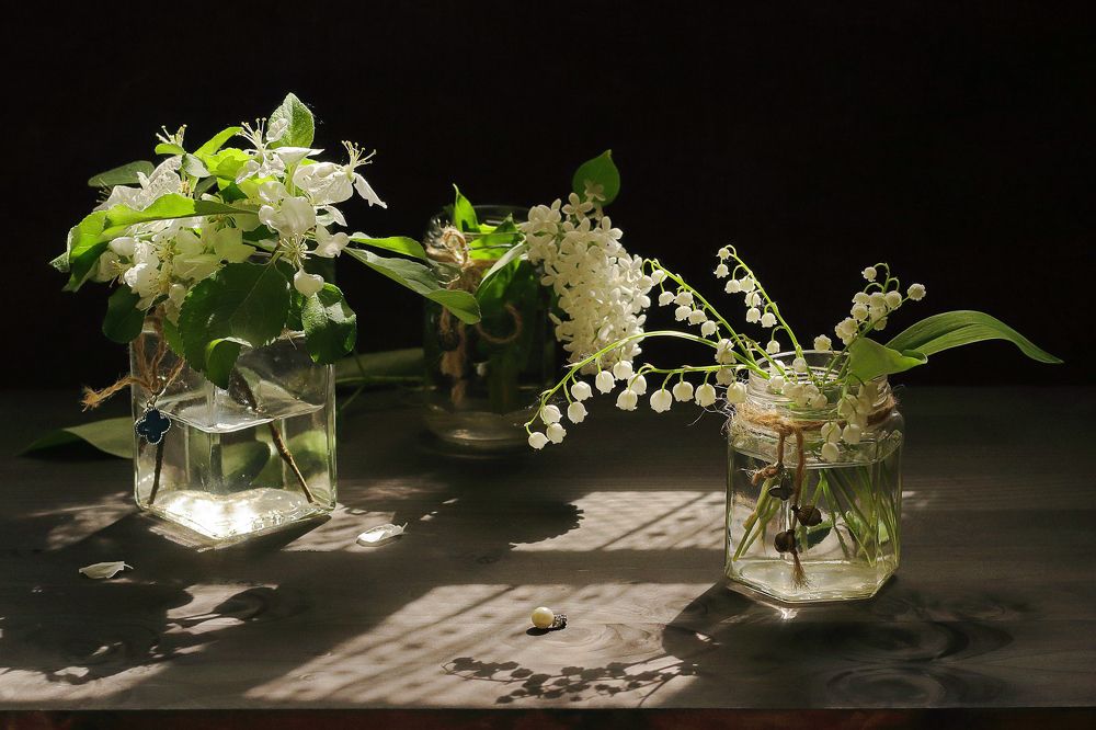 Фотография автора ТАТЬЯНА ЗАХАРОВА