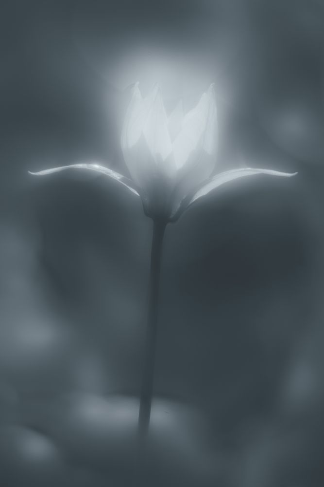 Фотография автора Игорь Баранов