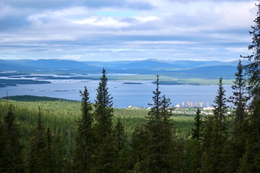 Фотография автора Юлия Шумейко