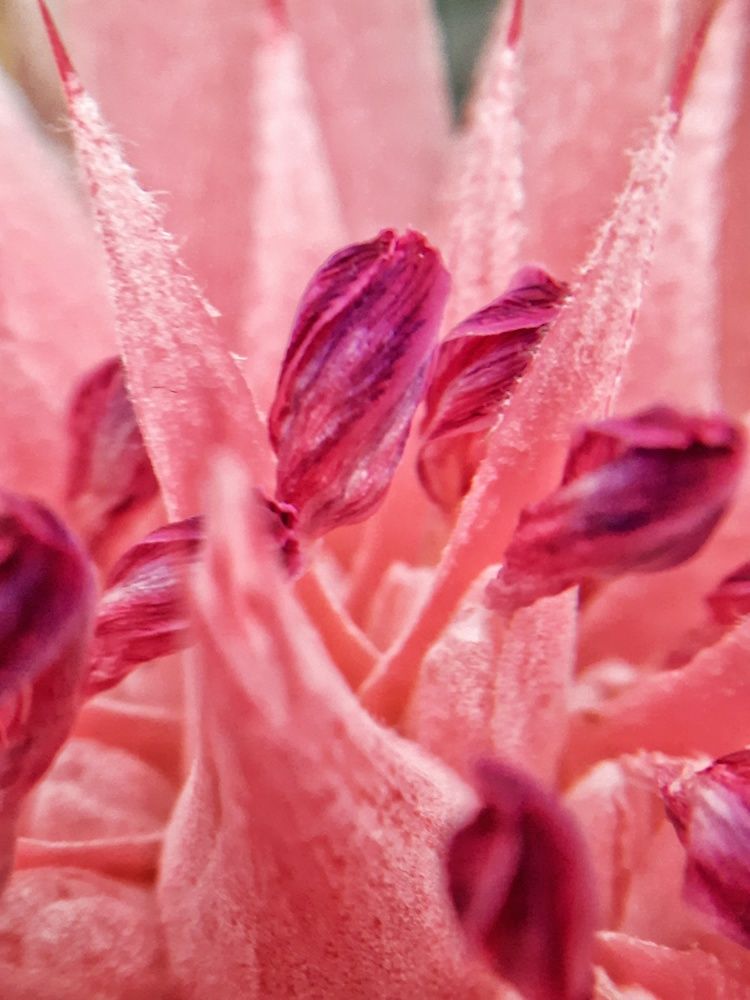 Photograph by Татьяна Григорчук