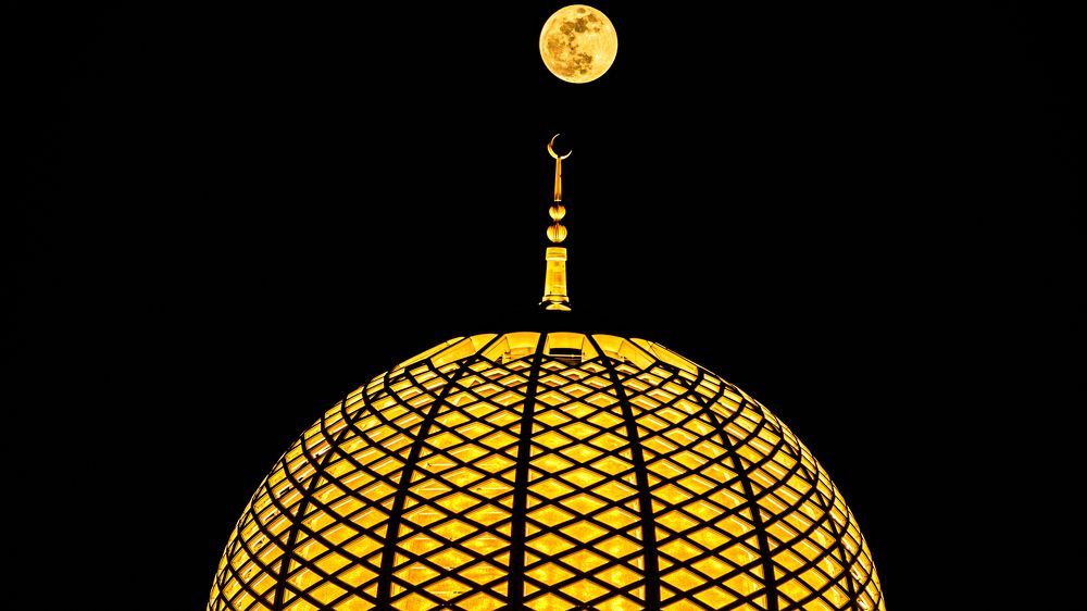 Photograph by Mahendra Pratap Singh