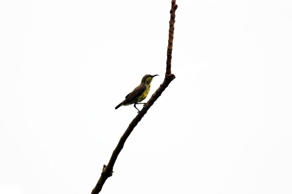 Photograph by Aastha Vyas