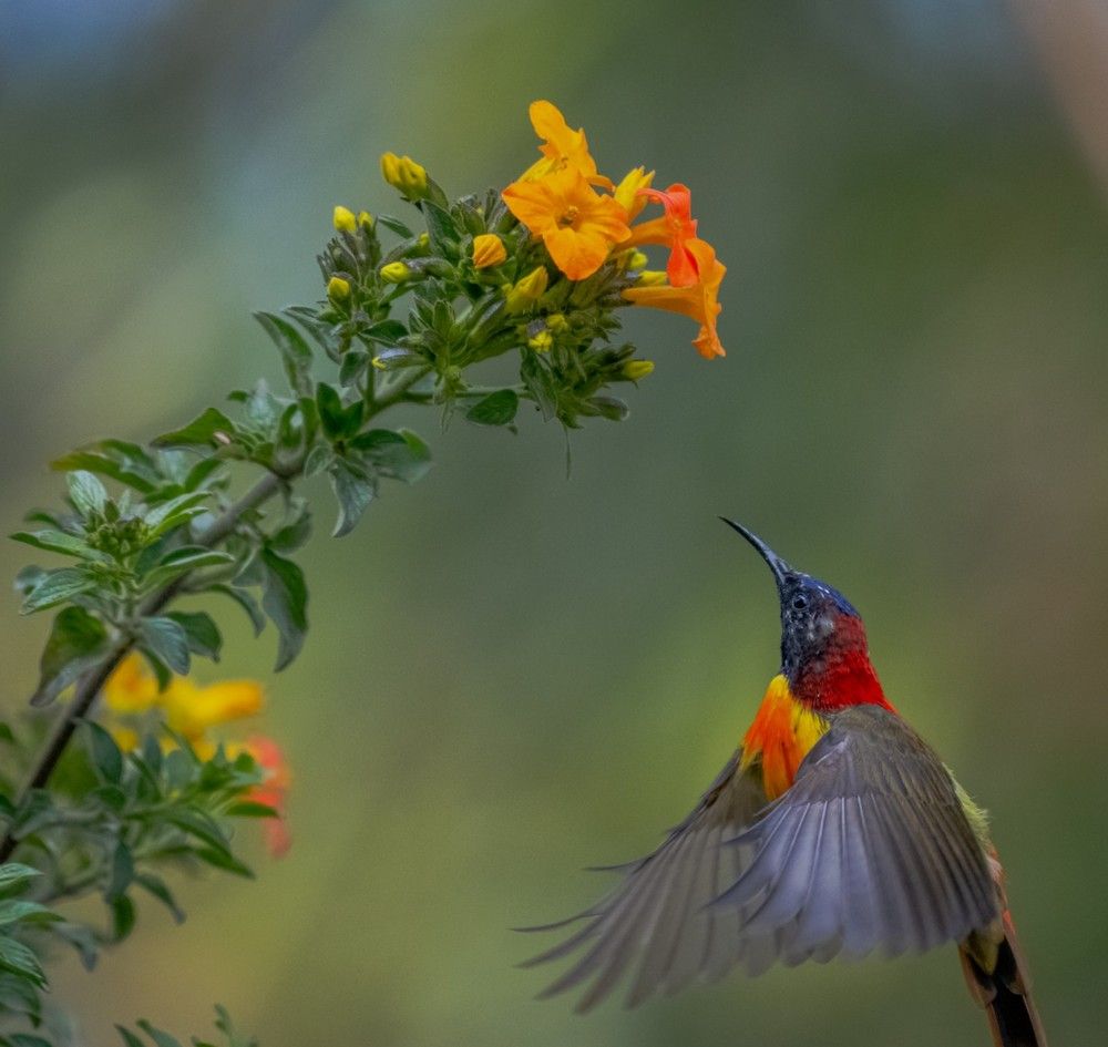 Photograph by Amrito Chakraborty