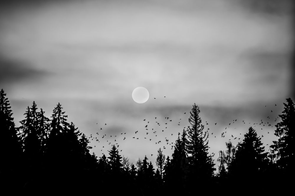 Photograph by Сергей Леканов