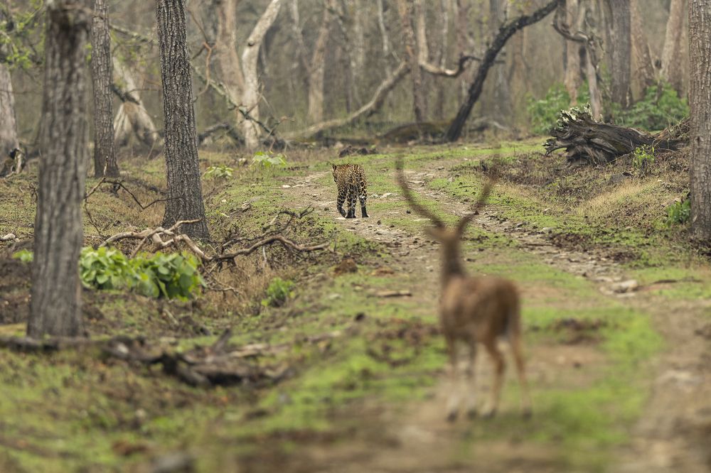 Photograph by Vishwanath Mukunda