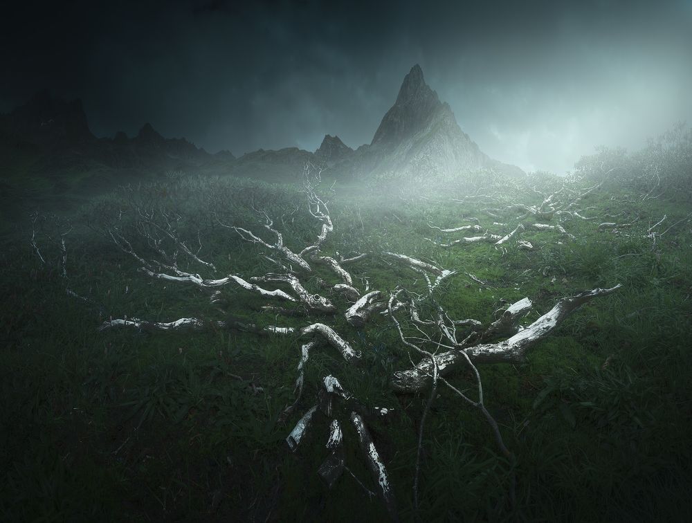 Photograph by Li Weinan