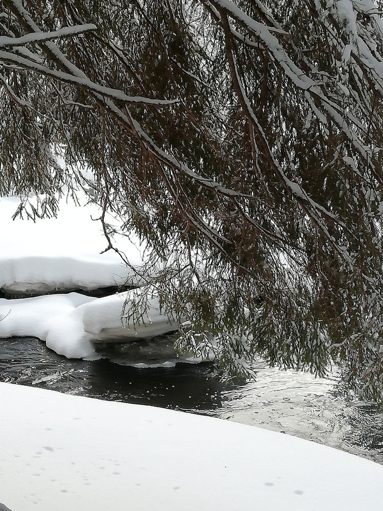 Photograph by Елена