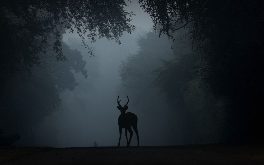 Photograph by Smita Behera