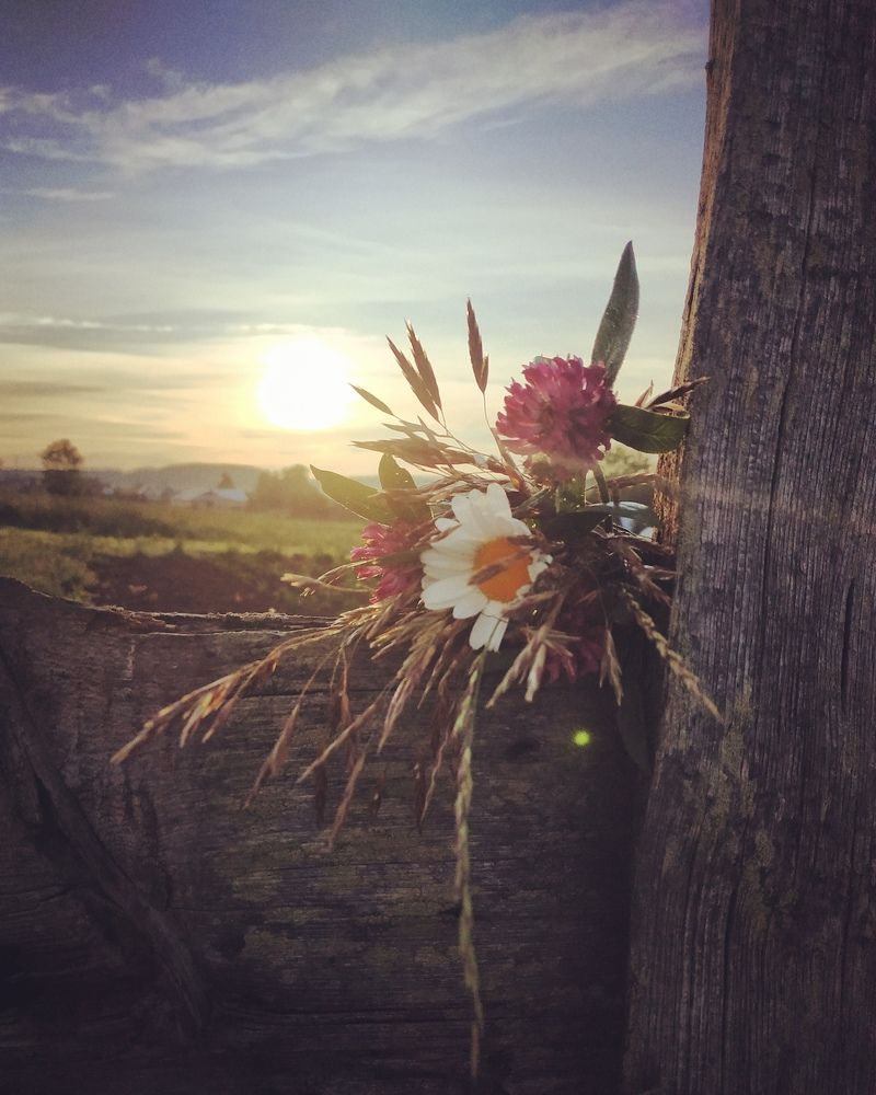 Photograph by Анна Гладышева