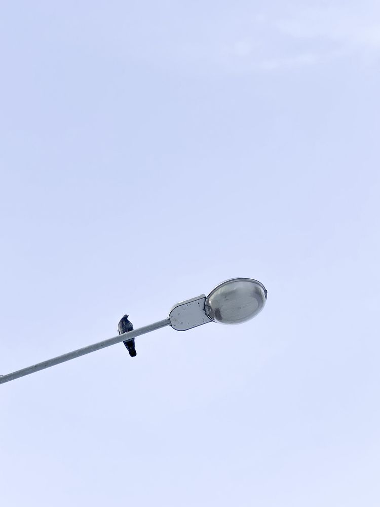 Photograph by Екатерина Бердутина