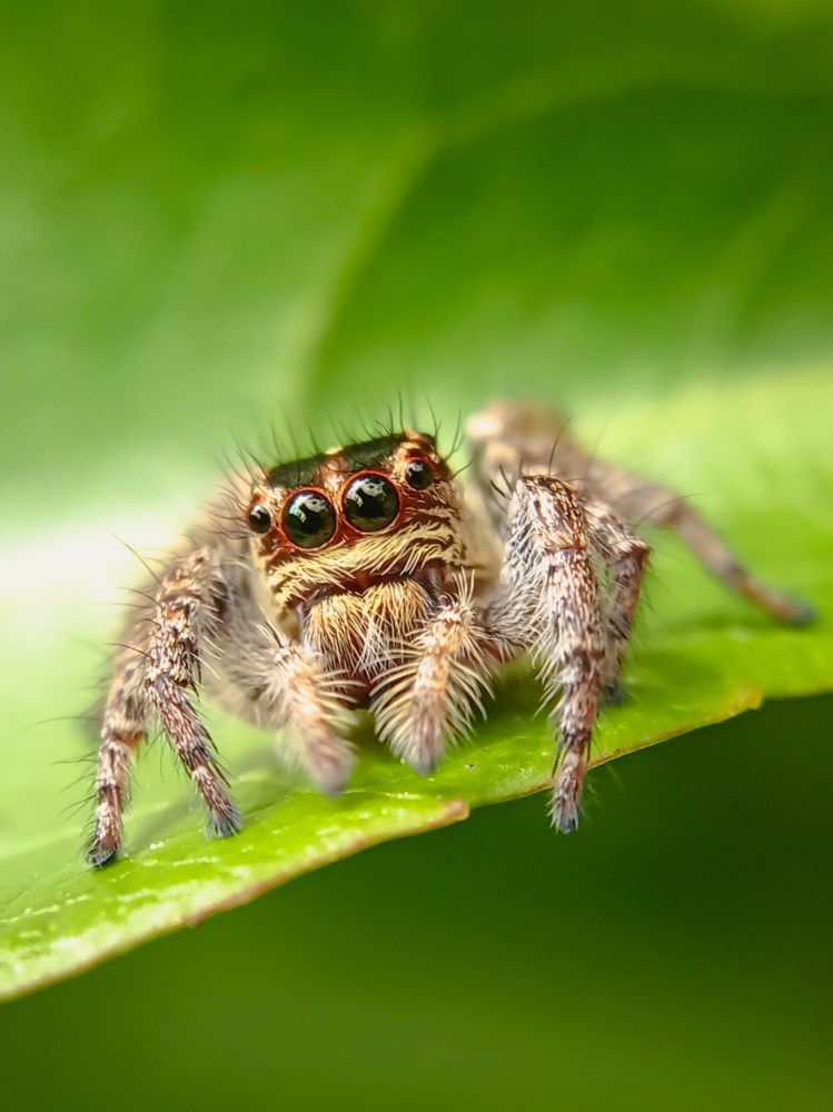 Photograph by Vishnu SR