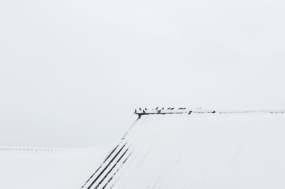 Photograph by Юлия Морозова