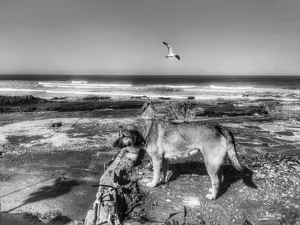 Photograph by Chraibi Hicham