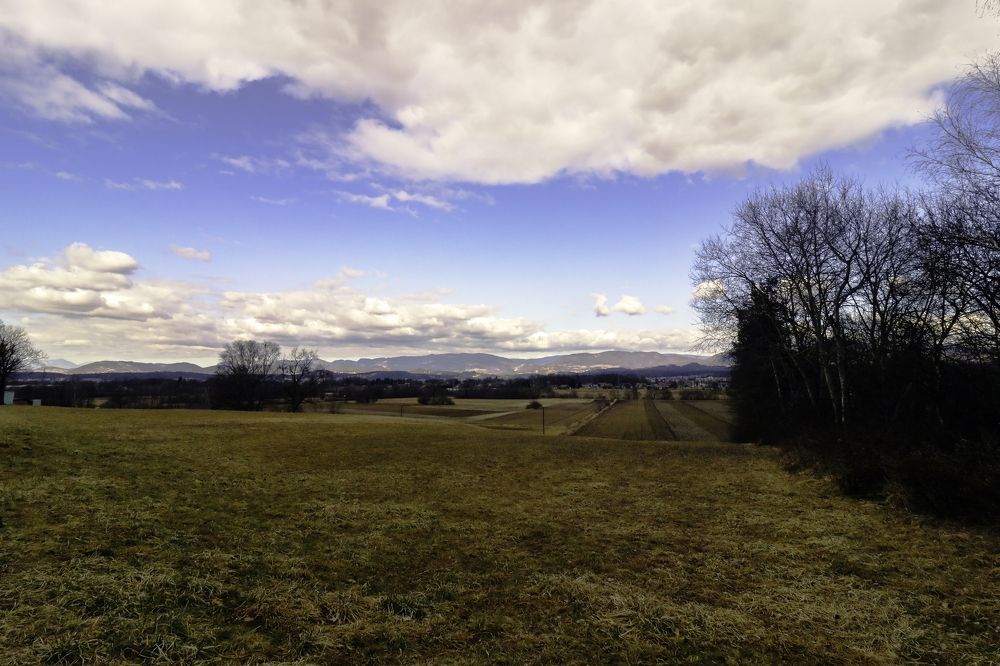 Photograph by Gregor Kobilica