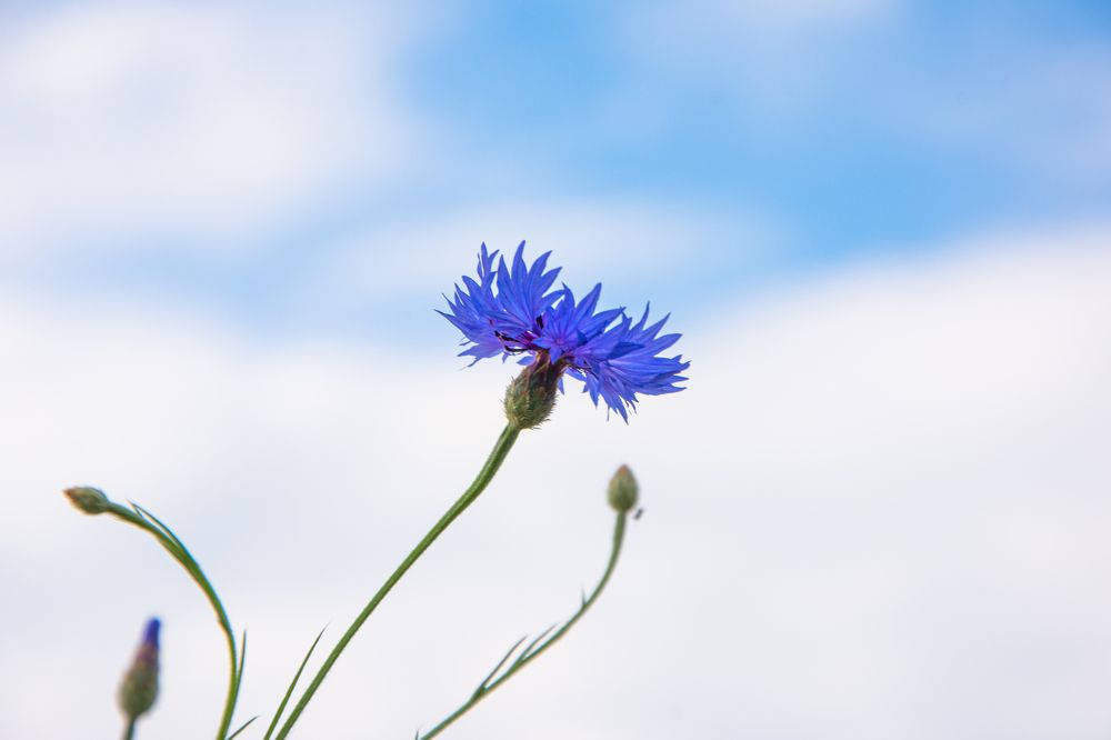 Photograph by Nataly Kiru