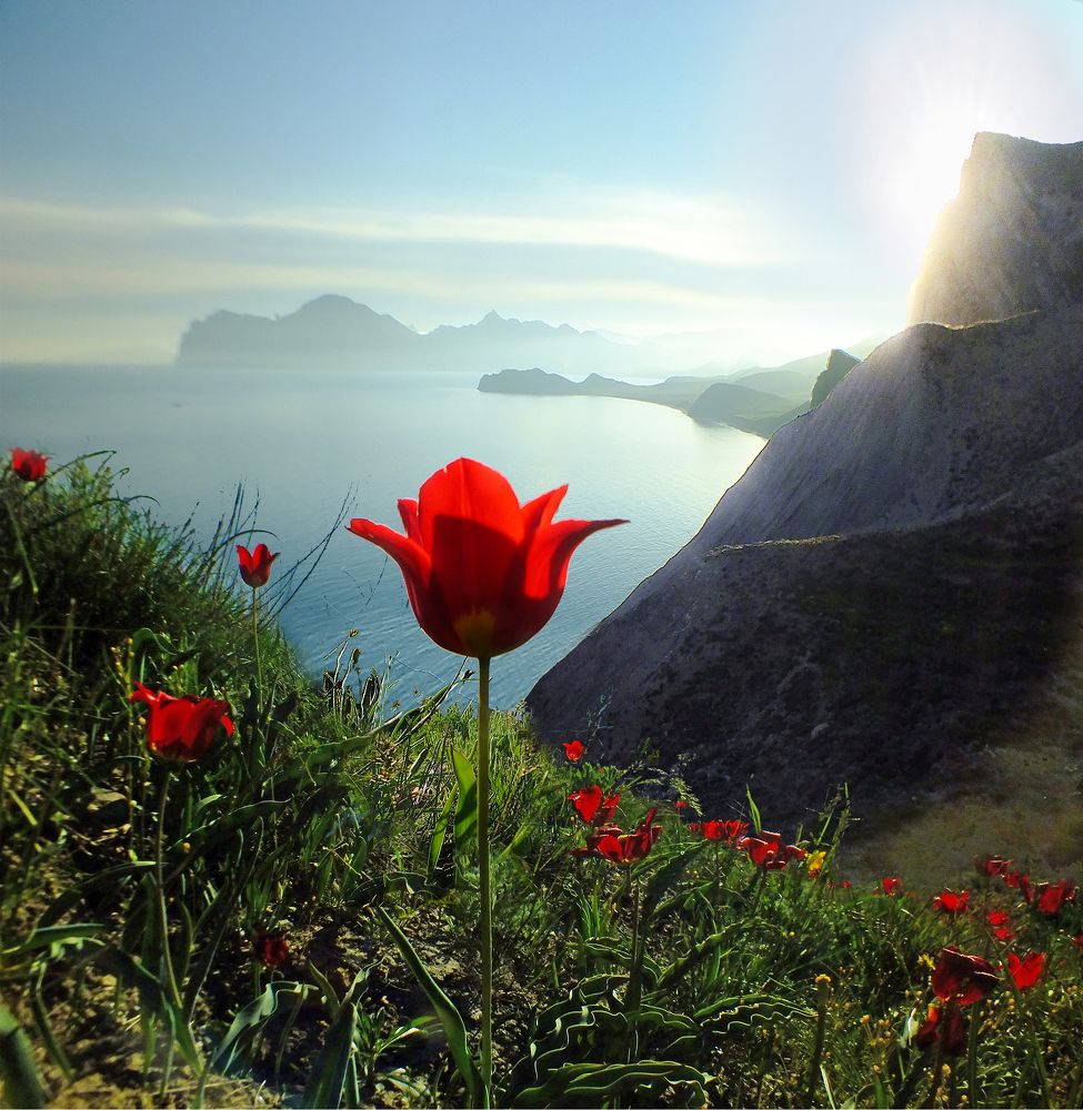 Photograph by Виктор