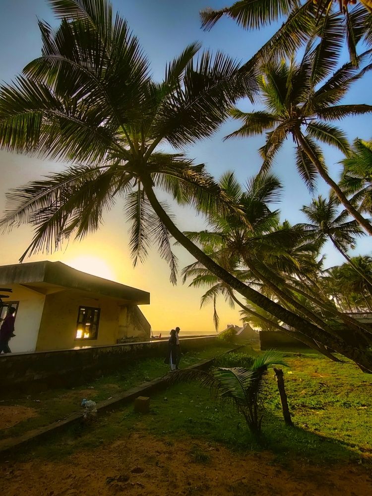 Photograph by Arsha N Vijay