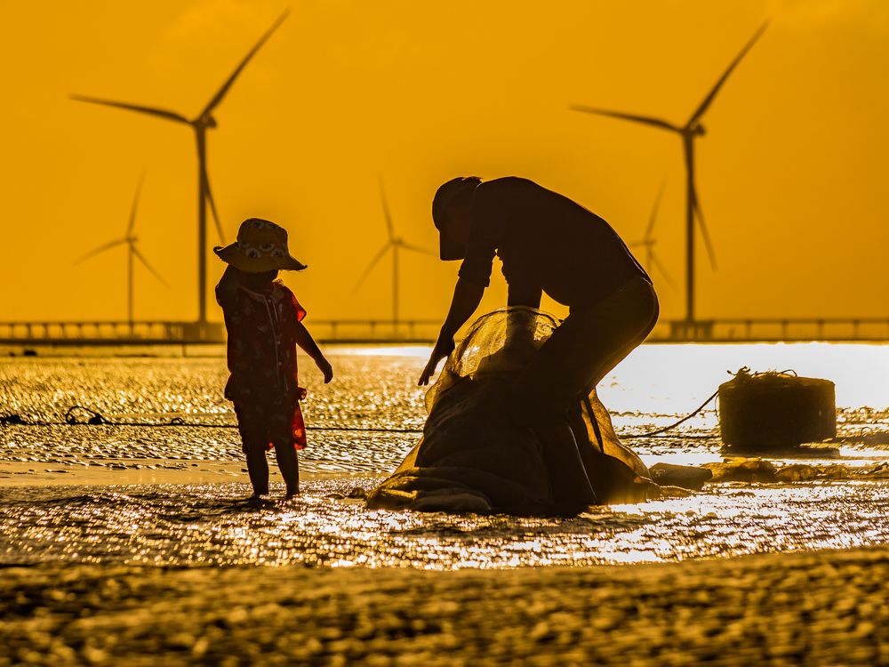 Photograph by Hưng Nguyễn Hải