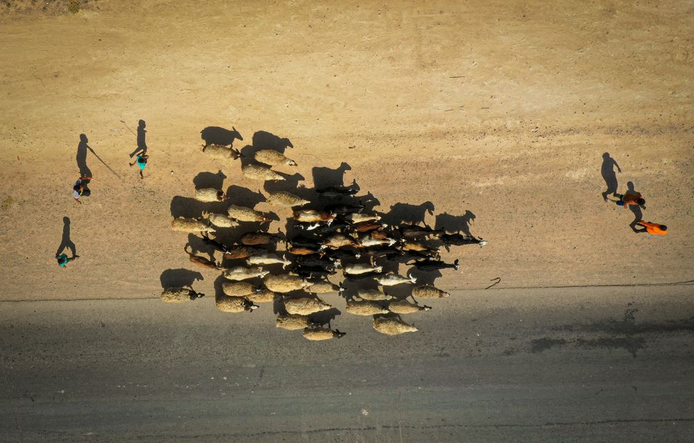 Photograph by Abdullah E Hamdi