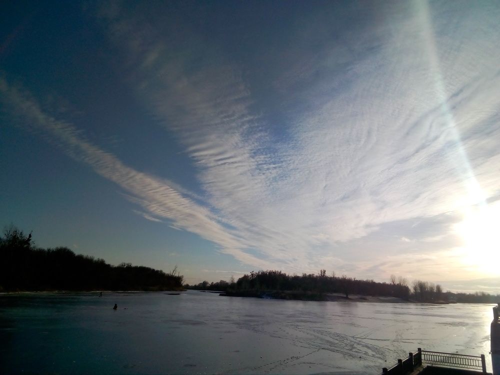 Photo #7315120