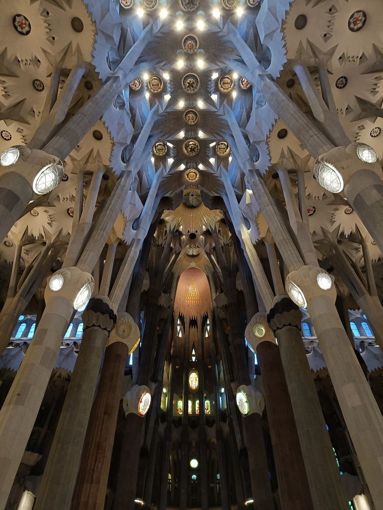 Photograph by Tetiana Kodenko