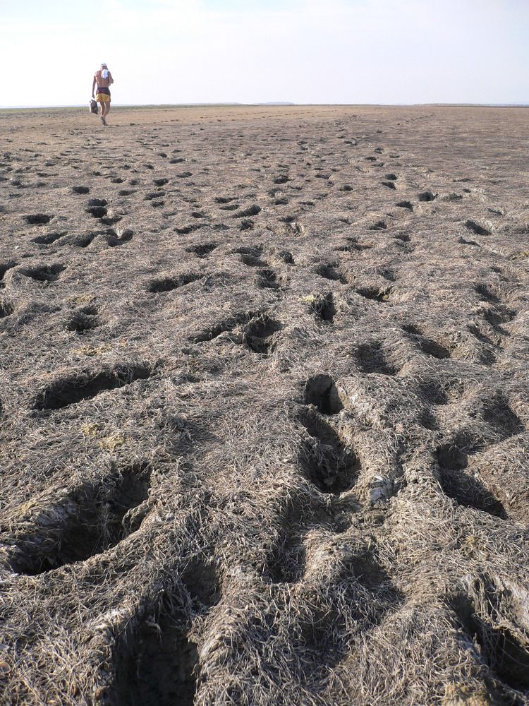 Photograph by Екатерина Хозяшева