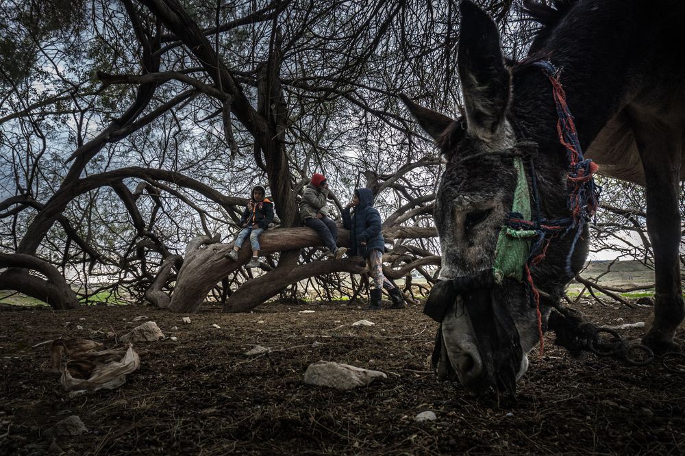 Photograph by zohar ferro