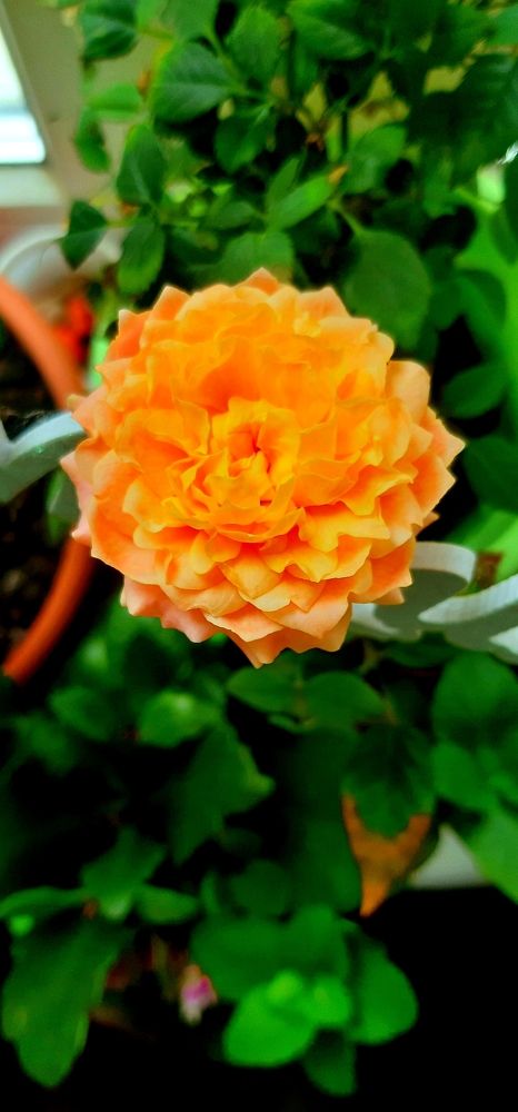 Photograph by Мария Архипова