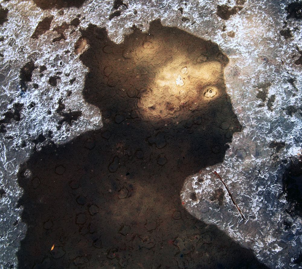 Photograph by ПОЛУЕВ ИЛЬЯ