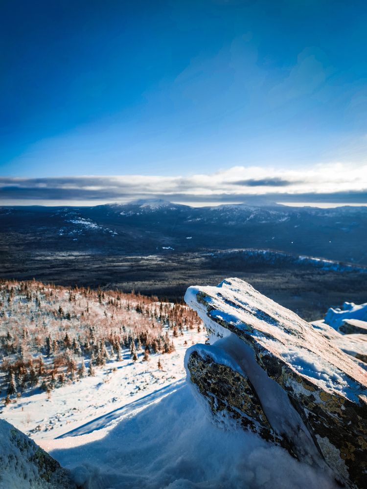 Photograph by Светлана Мыльникова