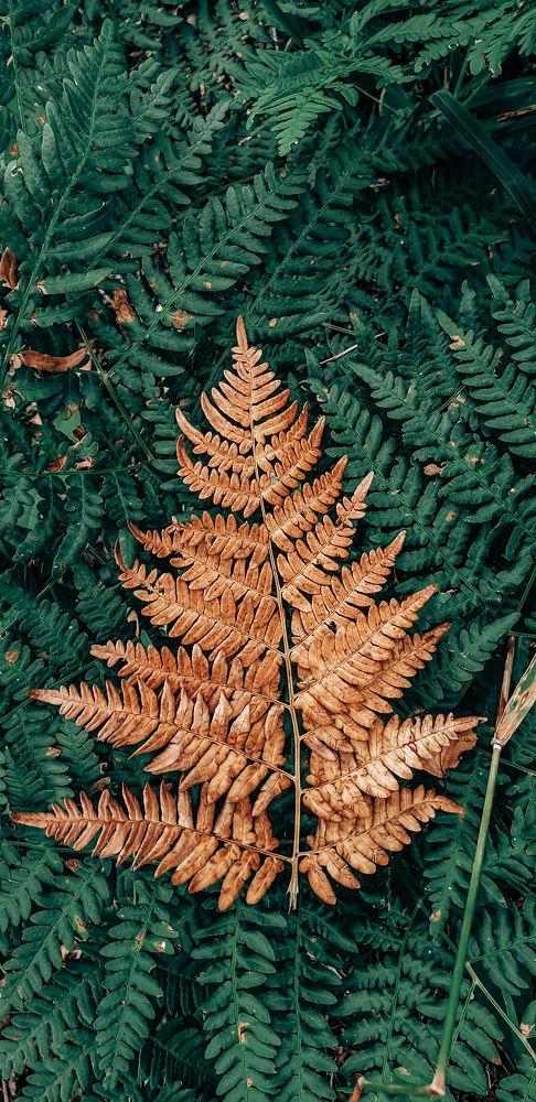 Photograph by Алёна Губинская