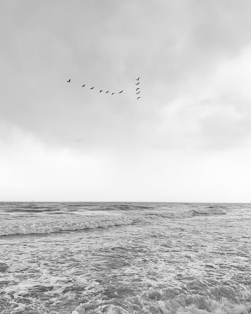 Photograph by Мирослава