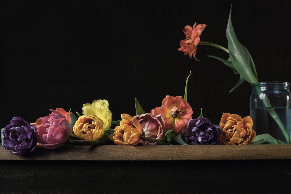 Photograph by Олеся Неволина-Лопатина