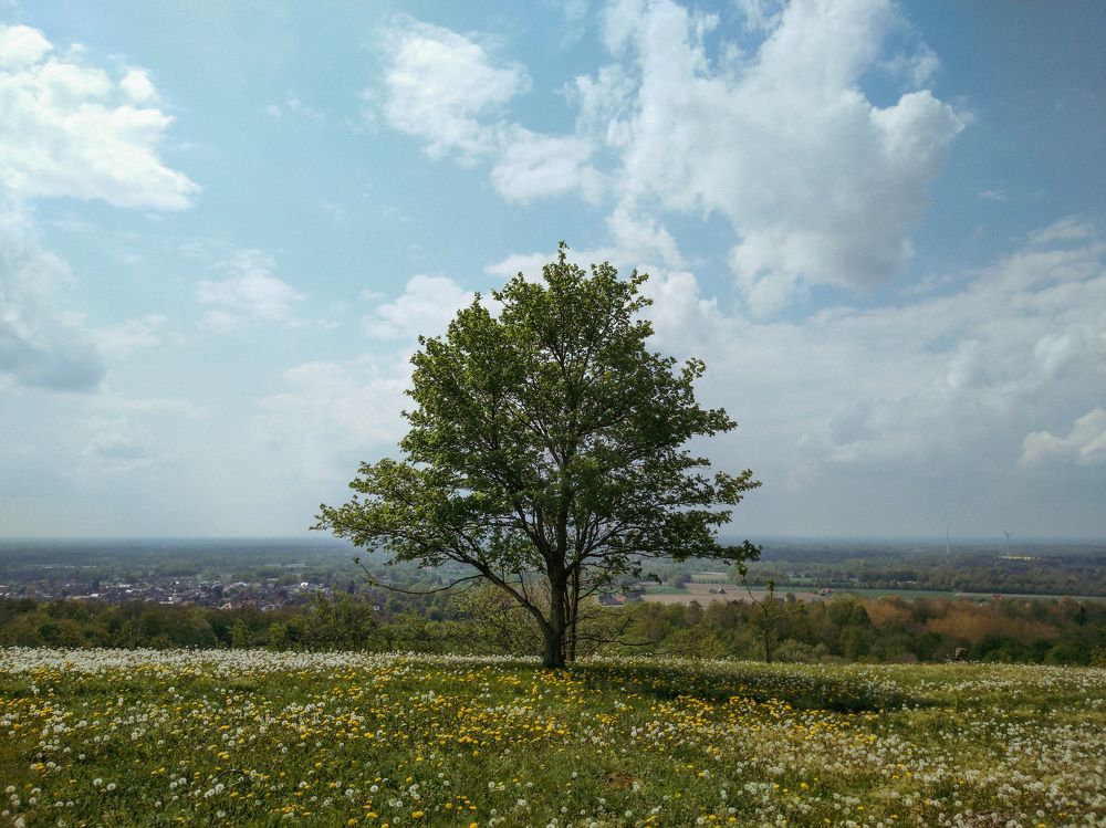 Photograph by Анна Купенко