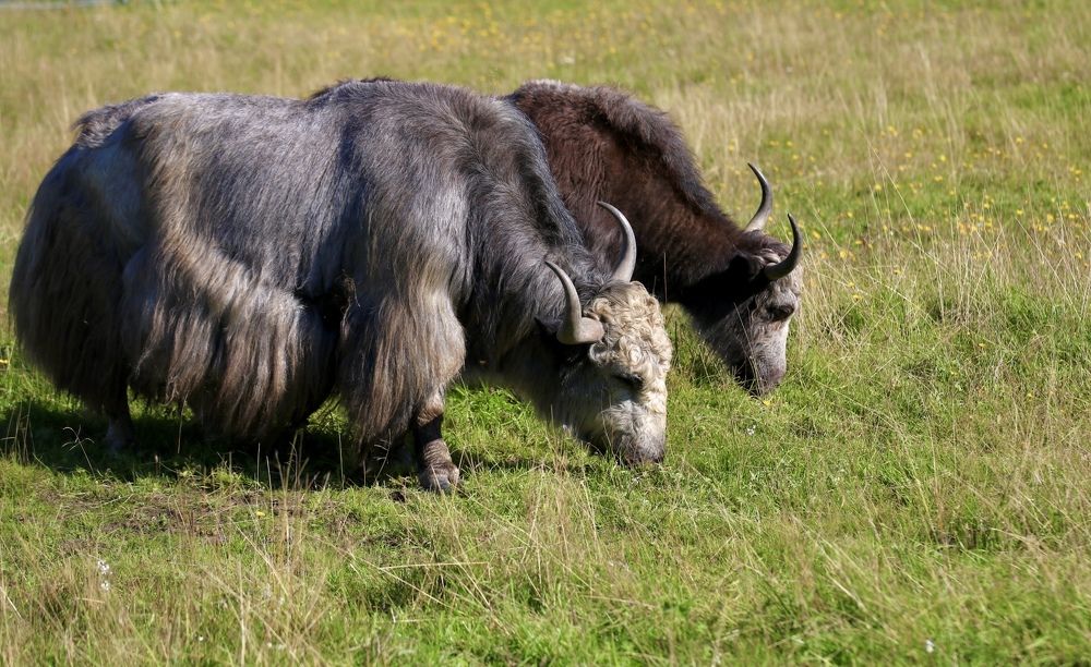 Photograph by Елена Ковалева