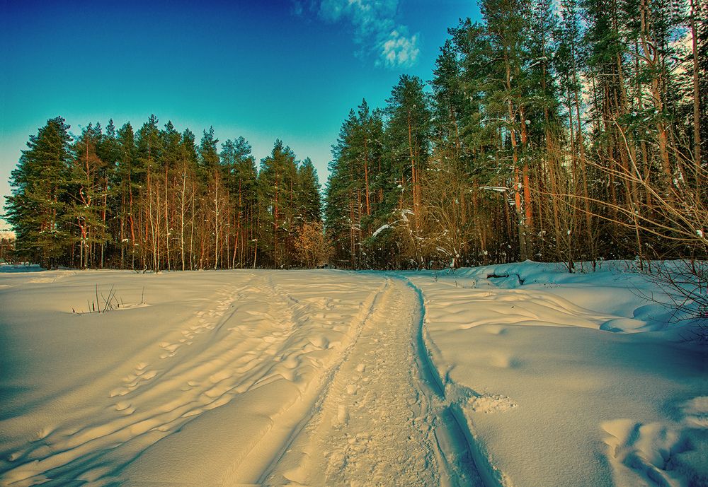 Photograph by Николай Феофанов