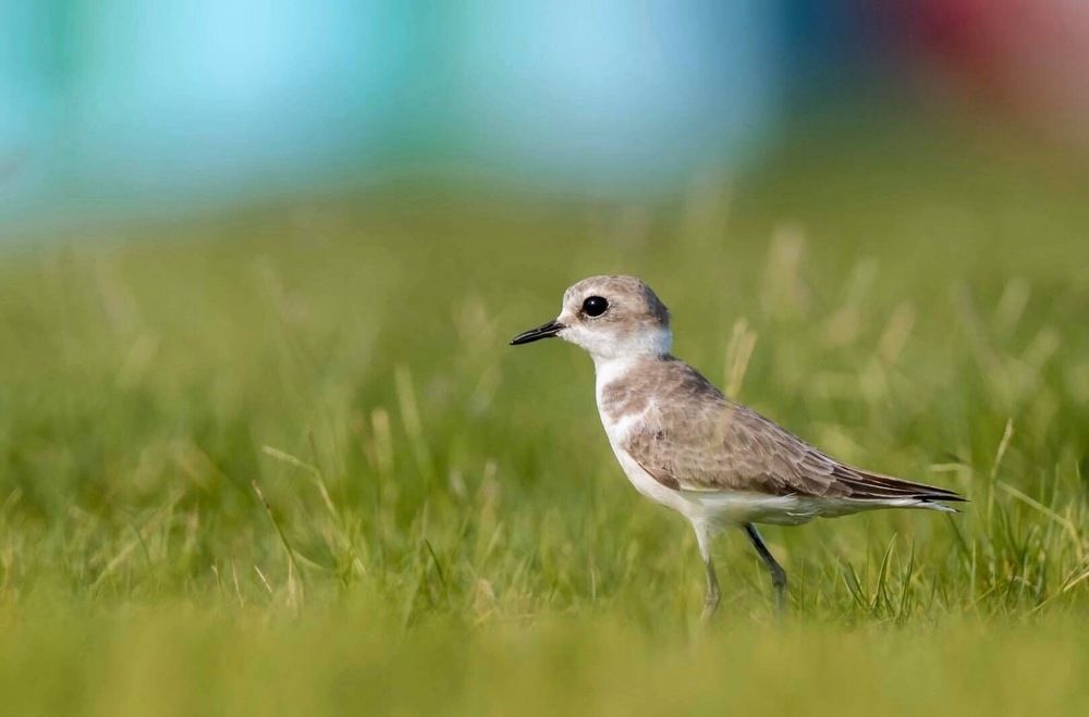 Photograph by Hervie Imus