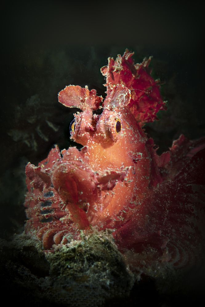 Photograph by Дериглазова Марина Владимировна