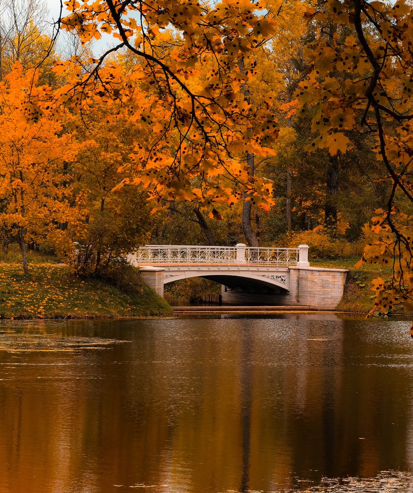 Photograph by Александр Державин